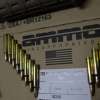 Ammo inc. Signature Target .223REM 55gr FMJ